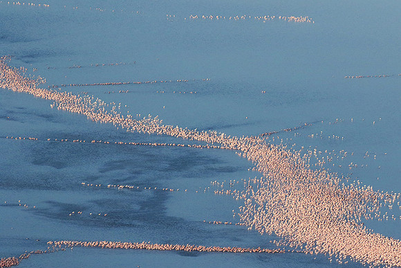 Helicopter flight over Sua Pan - Makgadikgadi