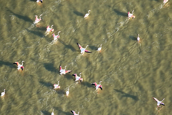 Helicopter flight over Sua Pan - Makgadikgadi