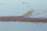 Helicopter flight over Sua Pan - Makgadikgadi