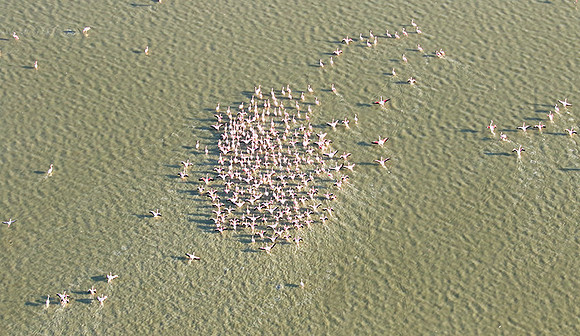 Helicopter flight over Sua Pan - Makgadikgadi