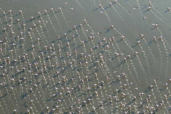Helicopter flight over Sua Pan - Makgadikgadi