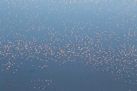 Helicopter flight over Sua Pan - Makgadikgadi