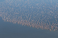 Helicopter flight over Sua Pan - Makgadikgadi