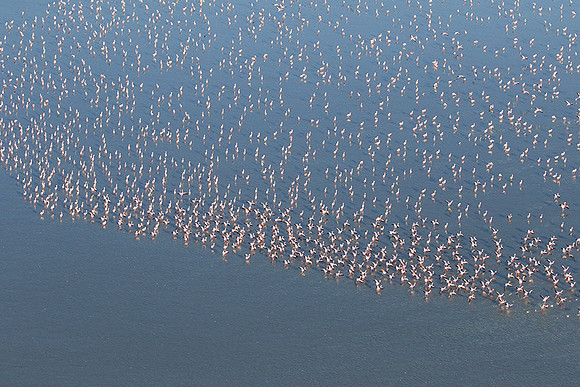 Helicopter flight over Sua Pan - Makgadikgadi