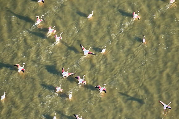 Helicopter flight over Sua Pan - Makgadikgadi