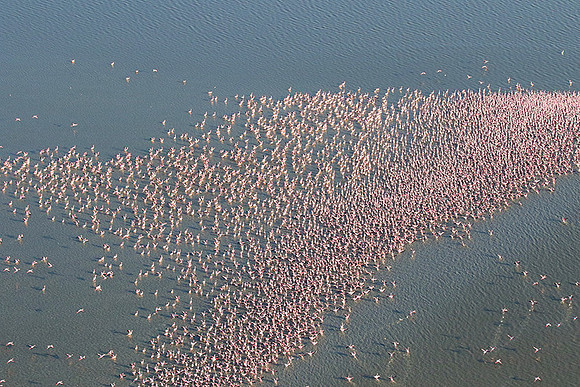Helicopter flight over Sua Pan - Makgadikgadi