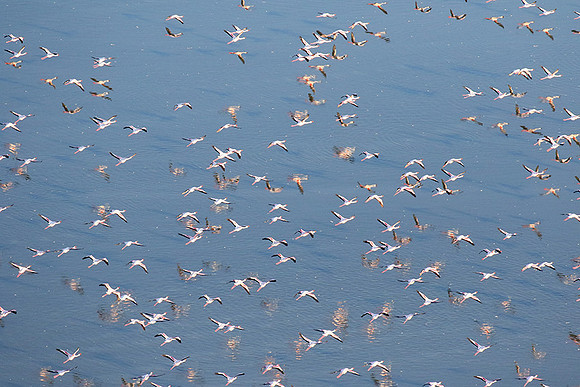 Helicopter flight over Sua Pan - Makgadikgadi