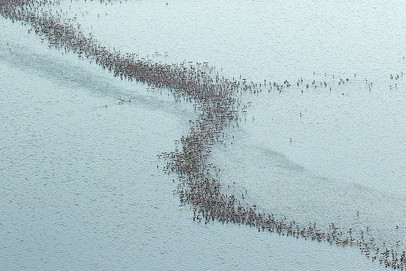 Helicopter flight over Sua Pan - Makgadikgadi