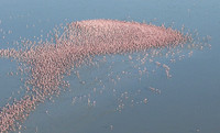 Helicopter flight over Sua Pan - Makgadikgadi