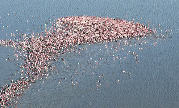 Helicopter flight over Sua Pan - Makgadikgadi