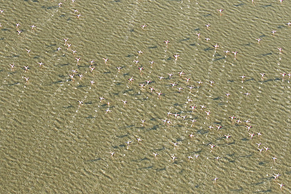 Helicopter flight over Sua Pan - Makgadikgadi