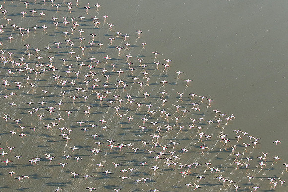 Helicopter flight over Sua Pan - Makgadikgadi