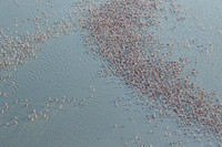 Helicopter flight over Sua Pan - Makgadikgadi