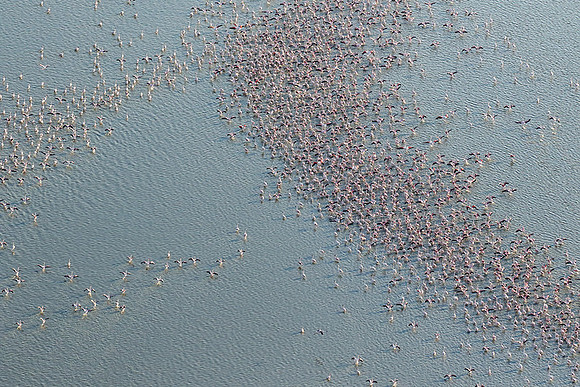 Helicopter flight over Sua Pan - Makgadikgadi