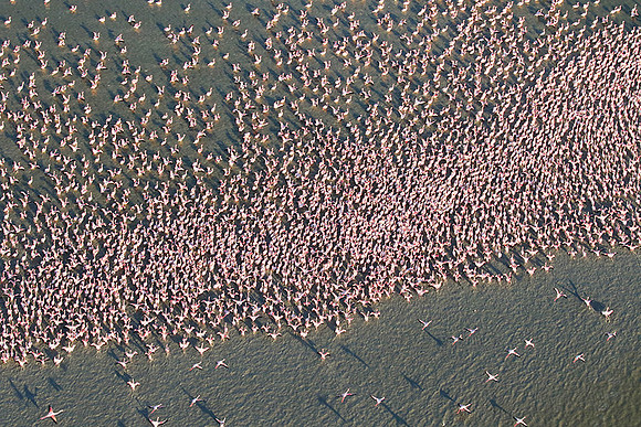 Helicopter flight over Sua Pan - Makgadikgadi