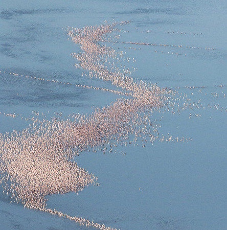 Helicopter flight over Sua Pan - Makgadikgadi