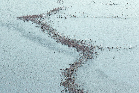 Helicopter flight over Sua Pan - Makgadikgadi