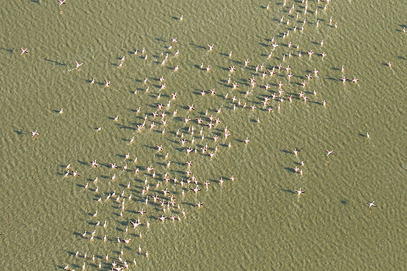 Helicopter flight over Sua Pan - Makgadikgadi