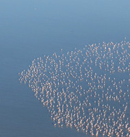 Helicopter flight over Sua Pan - Makgadikgadi