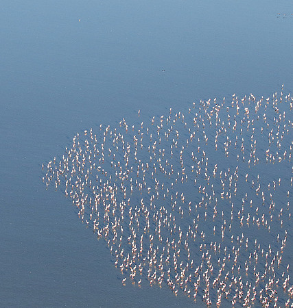Helicopter flight over Sua Pan - Makgadikgadi