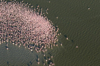 Helicopter flight over Sua Pan - Makgadikgadi