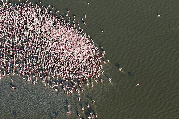 Helicopter flight over Sua Pan - Makgadikgadi