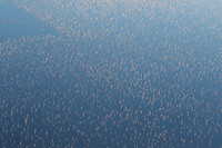 Helicopter flight over Sua Pan - Makgadikgadi