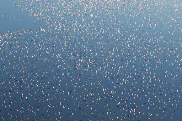 Helicopter flight over Sua Pan - Makgadikgadi