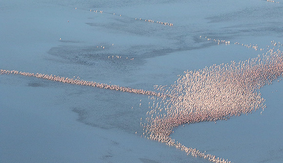 Helicopter flight over Sua Pan - Makgadikgadi