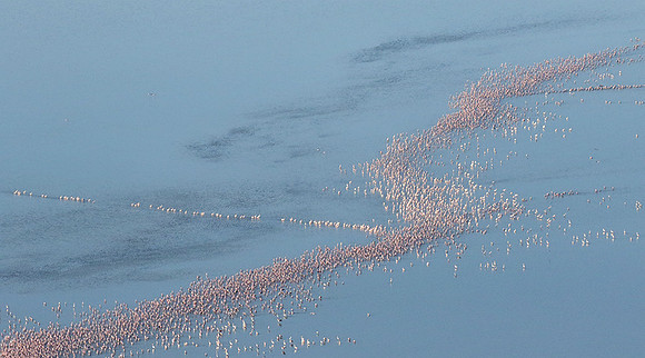 Helicopter flight over Sua Pan - Makgadikgadi