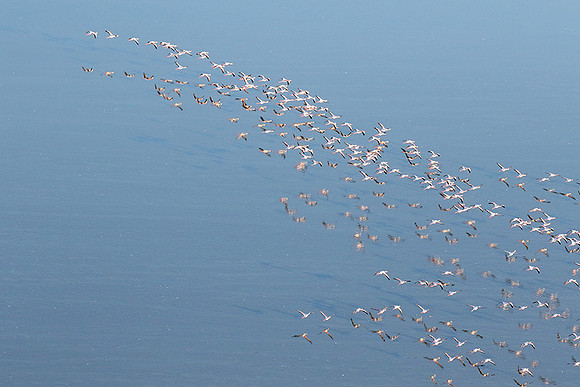 Helicopter flight over Sua Pan - Makgadikgadi