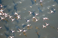 Helicopter flight over Sua Pan - Makgadikgadi