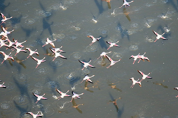 Helicopter flight over Sua Pan - Makgadikgadi