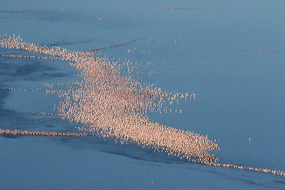 Helicopter flight over Sua Pan - Makgadikgadi