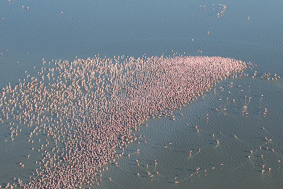 Helicopter flight over Sua Pan - Makgadikgadi