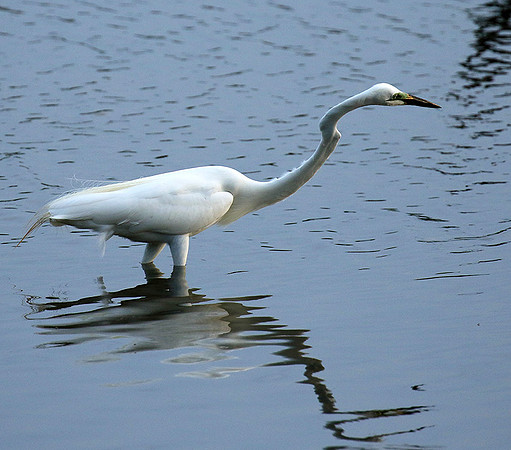 In the lagoon