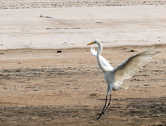 In the lagoon