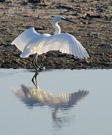 In the lagoon