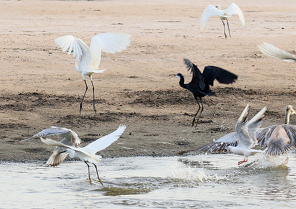 In the lagoon