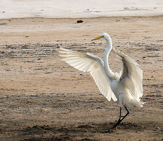 In the lagoon