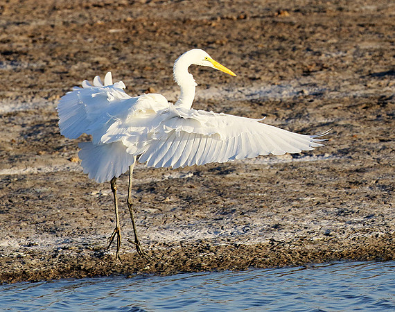 In the lagoon