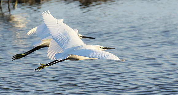 Flying together