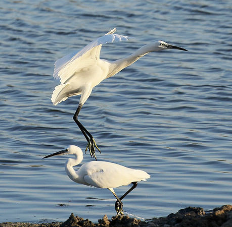 In the lagoon