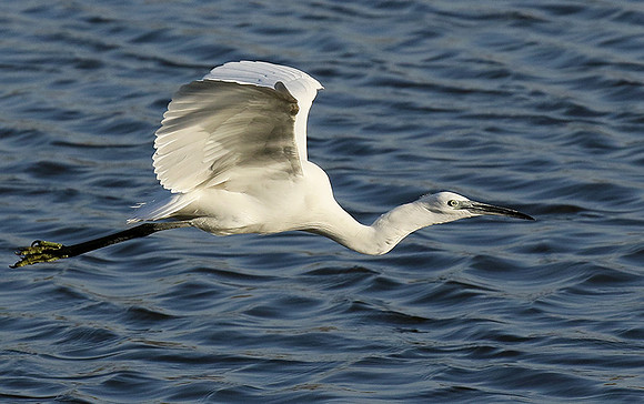 In the lagoon