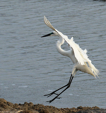 In the lagoon