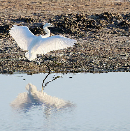 In the lagoon