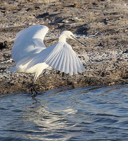 In the lagoon