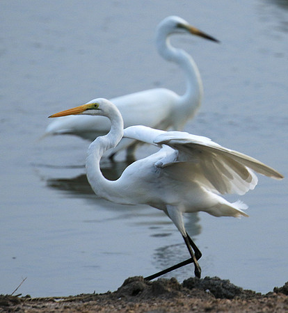In the lagoon