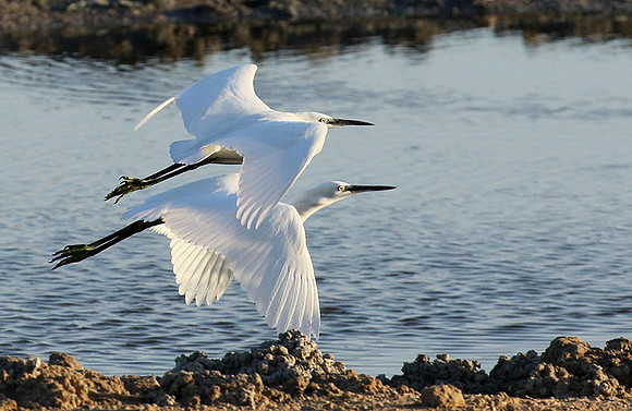 Flying together