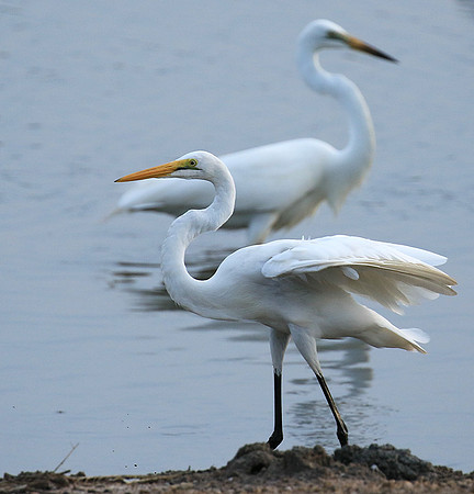 In the lagoon